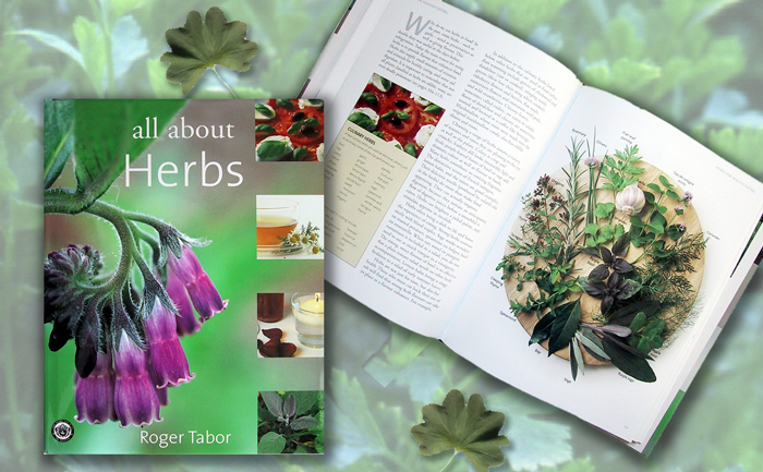 All about Herbs